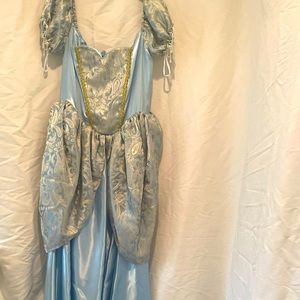Cinderella Costume